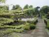 lauriston