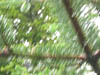 movement and action