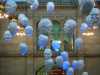 kelvingrove