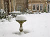 Snow