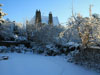 Snow
