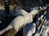Snow