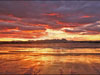 Skies