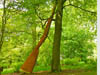 Jupiter Artland