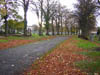 Autumn Colours