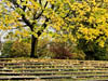 Autumn Colours
