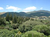 Landscapes