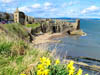 Seascapes