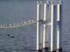 Seascapes