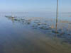 Seascapes