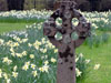 cemeteries