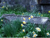 cemeteries