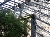 cemeteries