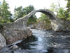 bridges
