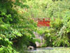 bridges