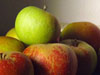 photography