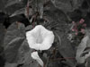 photography