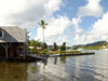 photography