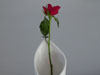 photography