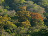 photography