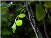 photography